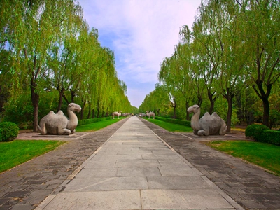 1 Day Mutianyu Great Wall and Ming Tombs Tour