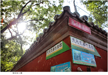 Half Day Beijing Bike Tour